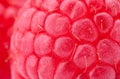 Raspberry Royalty Free Stock Photo