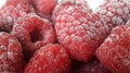 Raspberry ripe frozen