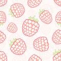 Raspberry seamless background