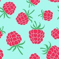 Raspberry seamless pattern. Hand drawn fresh fruit. Vector sketch background. Color doodle wallpaper. Red berry print