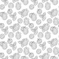 Raspberry seamless pattern in hand drawn line art style. Royalty Free Stock Photo