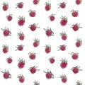 Raspberry seamless pattern