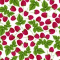 Raspberry seamless pattern