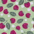 Raspberry seamless pattern. Raspberries with leaves and flowers on shabby background.