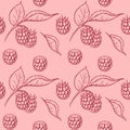 Raspberry berry seamless pattern Royalty Free Stock Photo