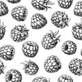 Raspberry seamless pattern. Vector drawing. Isolated berry sketch on white background. Royalty Free Stock Photo