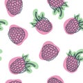 Raspberry seamless vector pattern. Background design. Best for wrapping paper. Royalty Free Stock Photo