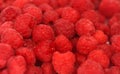 Raspberry - shallow focus