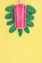 Raspberry sherbet on a wooden stick with mint leaves on a yellow background . Royalty Free Stock Photo