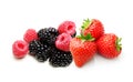 Raspberry, Strawberry, Blackberry Isolated Royalty Free Stock Photo