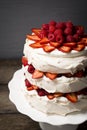 Raspberry and Strawberry Pavlova Cake