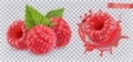 Raspberry. Sweet fruit. 3d realistic vector icon Royalty Free Stock Photo