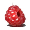 Raspberry. Sweet fruit. 3d realistic vector icon Royalty Free Stock Photo