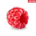 Raspberry. Sweet fruit. 3d vector icon. Realistic illustration Royalty Free Stock Photo