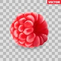 Raspberry. Sweet fruit. 3d vector icon. Realistic illustration Royalty Free Stock Photo