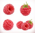 Raspberry. Sweet fruit. 3d vector icons set. Realistic illustration Royalty Free Stock Photo