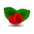 Raspberry. Sweet fruit. 3d vector icons set. Realistic illustration Royalty Free Stock Photo