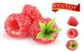 Raspberry Sweet fruit 3d vector icons set. Realistic Berry Raspberries Icon Set. Collection of ripe raspberries.