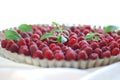 Raspberry tart