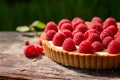 Raspberry tart with cream, powdered sugar, mint leave on green forest background