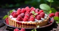 Raspberry tart with cream, powdered sugar, mint leave on green forest background