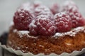Raspberry Tarte Royalty Free Stock Photo