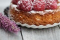 Raspberry Tarte Royalty Free Stock Photo
