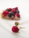 Raspberry tartlet