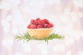 Raspberry tartlet with rosemary decoration on white background w