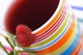 Raspberry tea Royalty Free Stock Photo