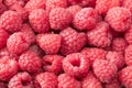 raspberry texture. raspberries background. fruit background. healthy background. flat lay. top view