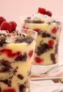 Raspberry Trifle Royalty Free Stock Photo