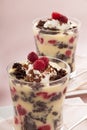 Raspberry Trifle Royalty Free Stock Photo