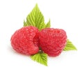 Raspberry twig with ripe berry isolated Royalty Free Stock Photo