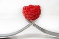 Raspberry on two forks isolated on a white background. copy space for text Royalty Free Stock Photo