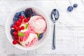 Raspberry and vanilla ice cream Royalty Free Stock Photo