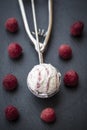 Raspberry-vanilla-icecream in icecream scoop, fresh raspberries on slate Royalty Free Stock Photo