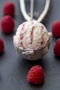 Raspberry-vanilla-icecream in icecream scoop, fresh raspberries on slate Royalty Free Stock Photo