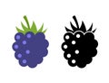 Raspberry vector icon illustration. Flat berry sweet healthy organic fruit raspberry blackberry