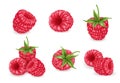 Raspberry vector icons set. 3d realistic vector illustration