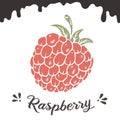 Raspberry vector illustration, berry clipart. Raspberry vintage vector illustration for logo, design. Vintage raspberry