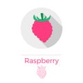 Raspberry vector illustration Royalty Free Stock Photo