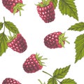 Raspberry. Vector seamless pattern