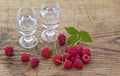 Raspberry vodka Royalty Free Stock Photo