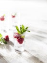 Raspberry vodka glass shot with fruit inside. Fresh summer shots for party. Berries in alcohol glass. Glass of sparkling water Royalty Free Stock Photo