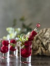 Raspberry vodka glass shot with fruit inside. Fresh summer shots for party. Berries in alcohol glass. Glass of sparkling water Royalty Free Stock Photo