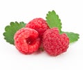 Raspberry on a white background Royalty Free Stock Photo