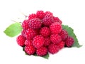 Raspberry Royalty Free Stock Photo