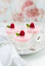 Raspberry yogurt dessert Royalty Free Stock Photo