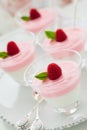 Raspberry yogurt dessert Royalty Free Stock Photo